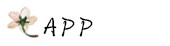 app app